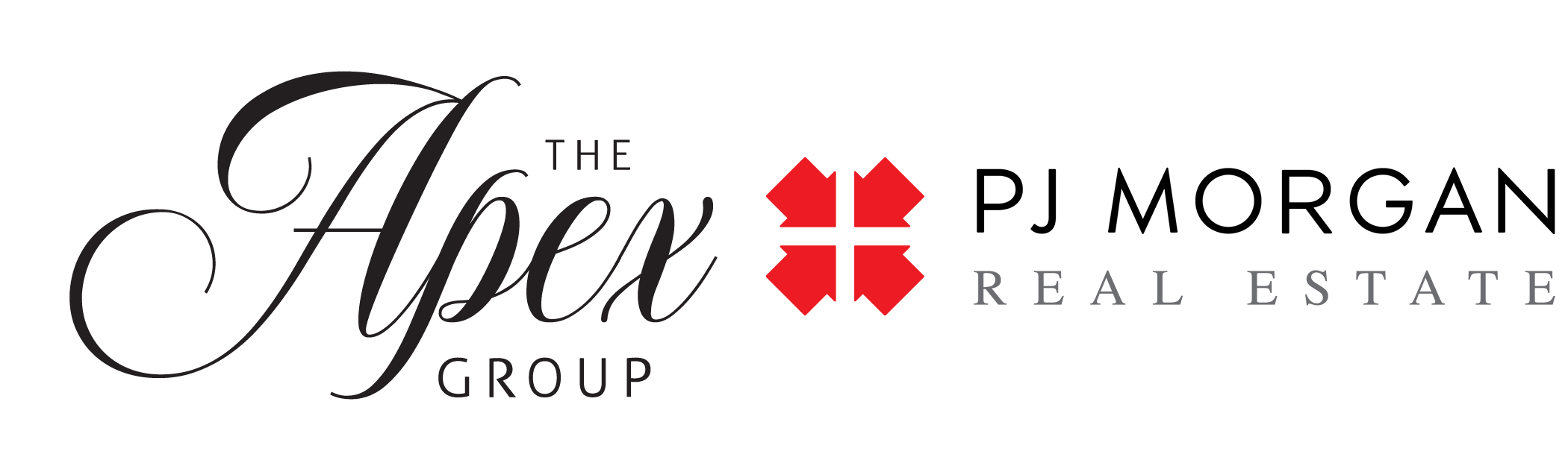 Website Logo
